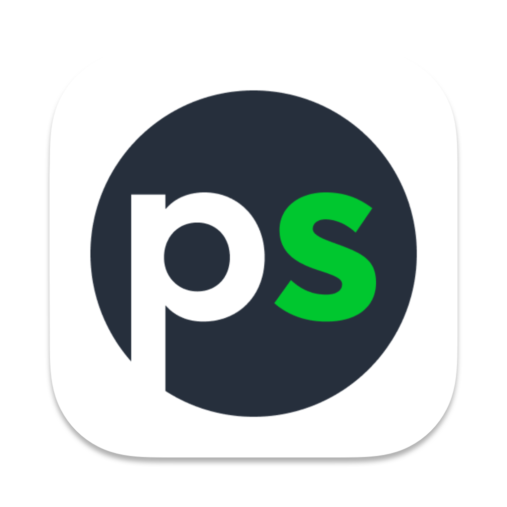 Payspace Icon
